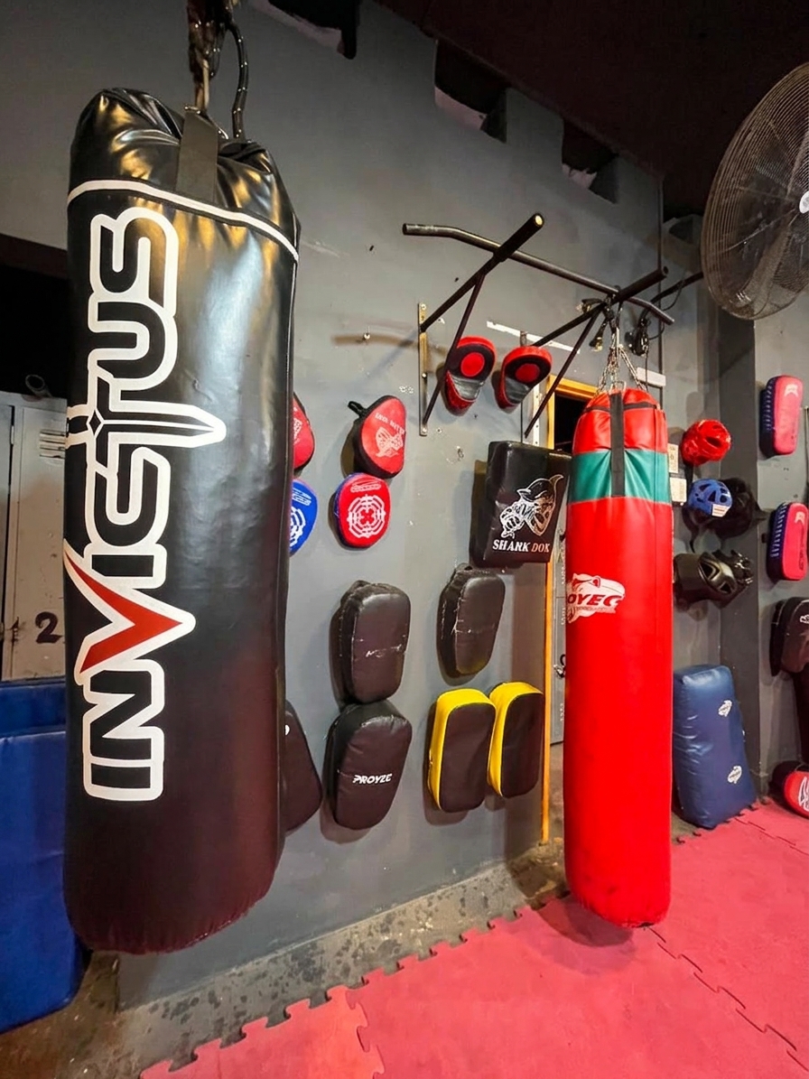 Iron Boxing Club - zona de boxeo